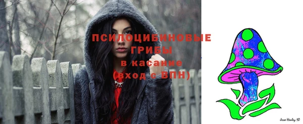 прущая мука Абаза