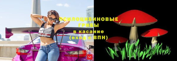 амф Алексин