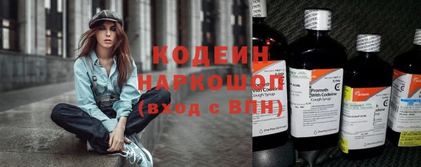 хмурый Абинск