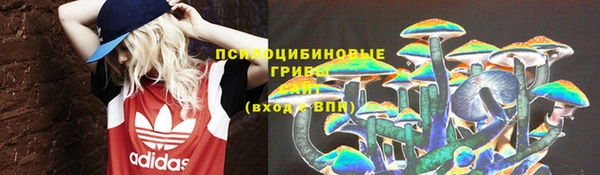 хмурый Абинск